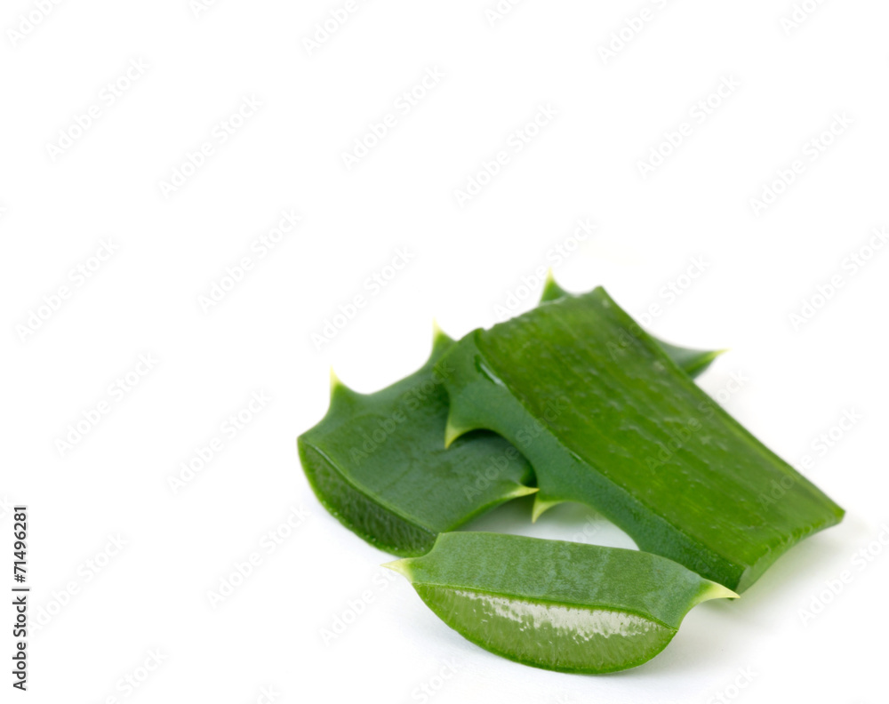 aloe vera fresh leaf. isolated over white aloe vera fresh leaf. isolated over white