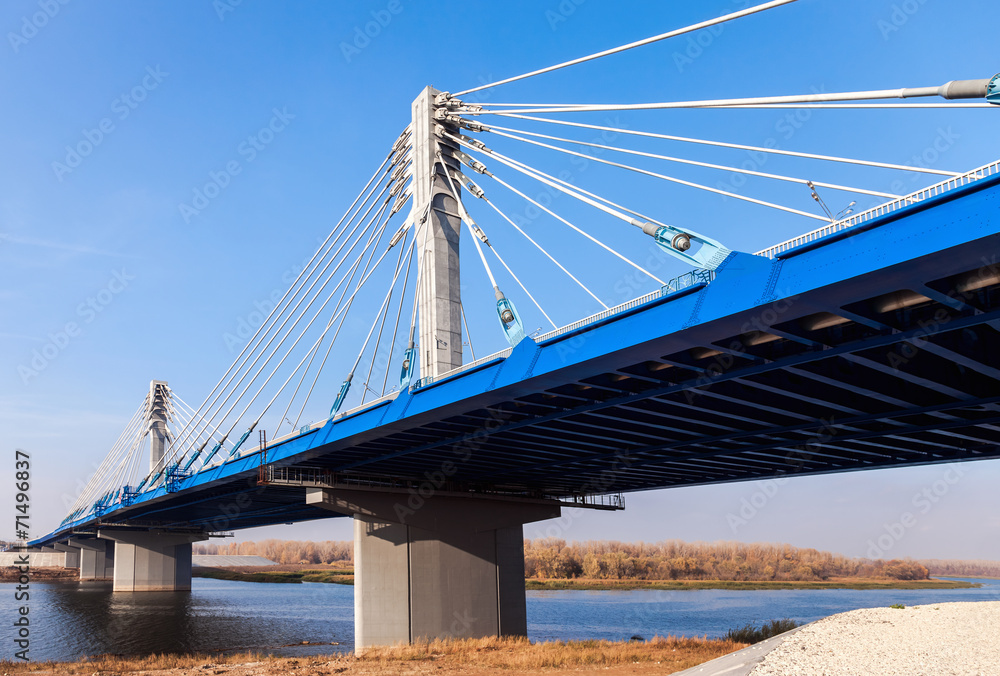 Naklejka premium Kirovsky cable bridge through Samara River, Russia