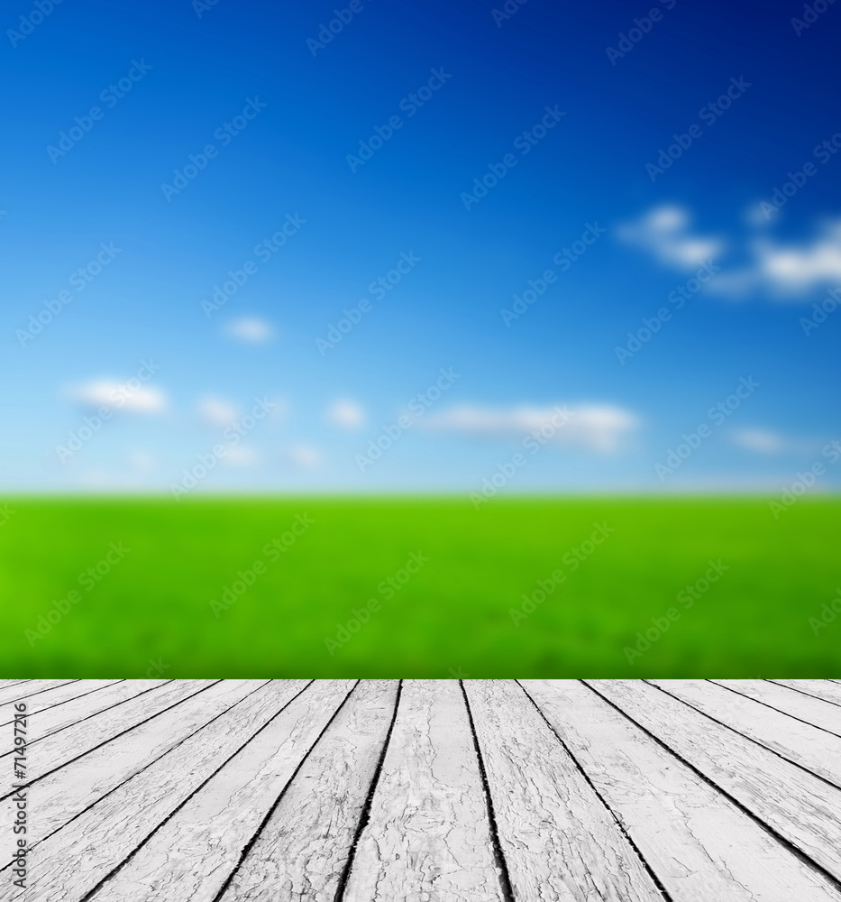 Fresh spring green grass with green bokeh and sunlight and wood Fresh spring green grass with green bokeh and sunlight and wood