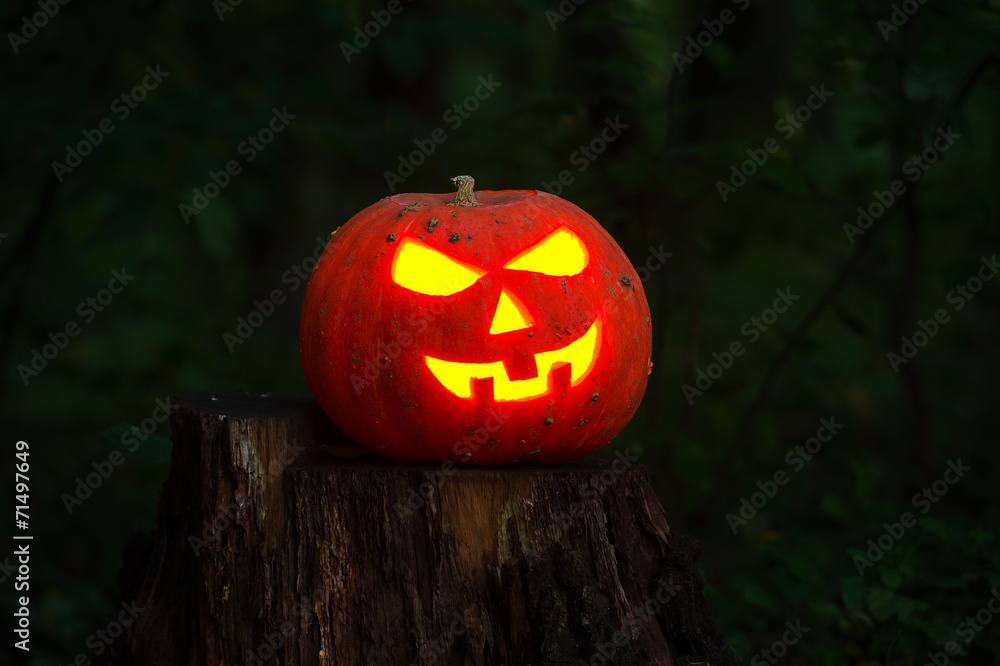 Halloween Halloween