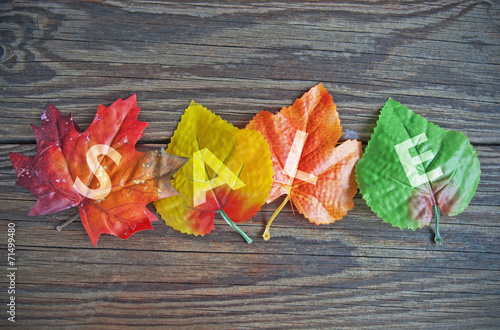 Autumn sale