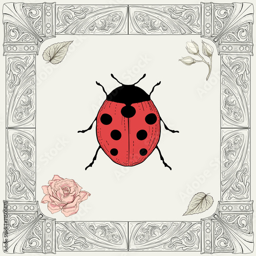 ladybug and rose drawing