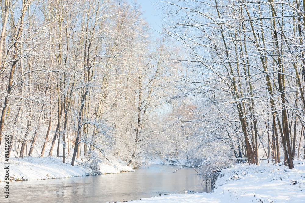 Winter landscape: small river in a snowy woods. Winter landscape: small river in a snowy woods.