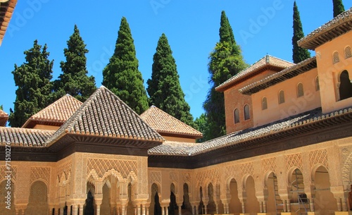 Sala de los abencerrajes, Alhambra, Grenade photo