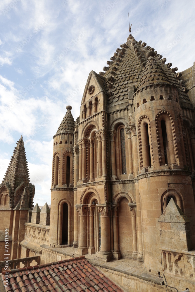 Catedral de Salamanca, detalle.