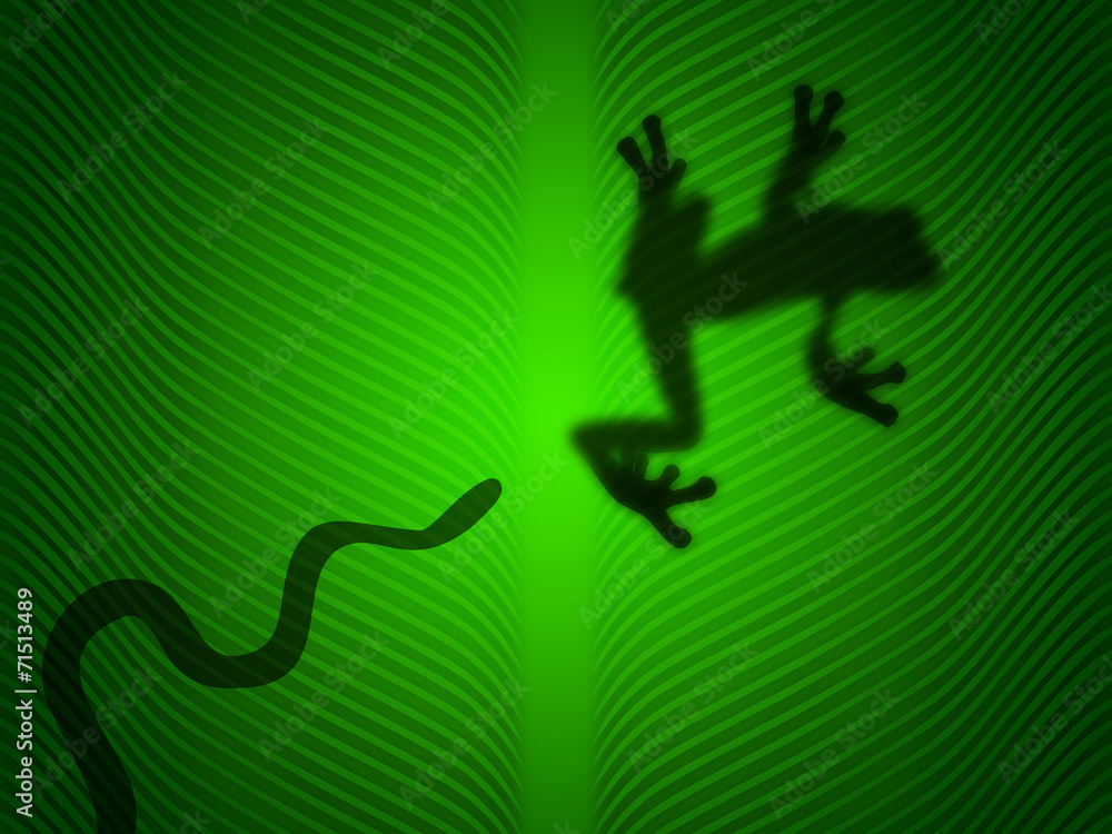 Snake atack a tree frog on green leaf Snake atack a tree frog on green leaf