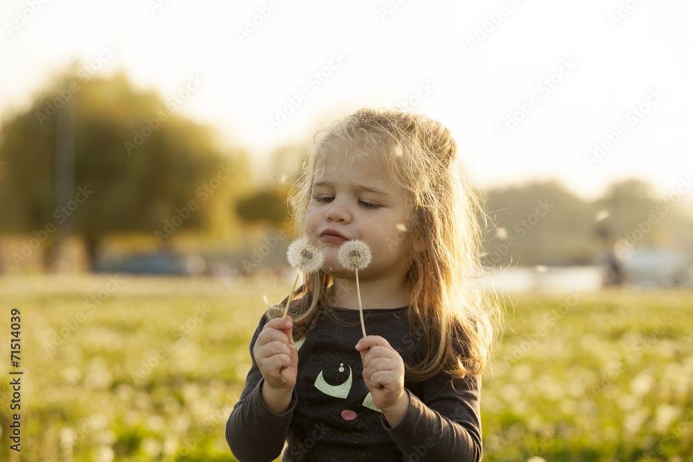 Little Girl Playing With Dandelion Flowers On Field Outdoor Little Girl Playing With Dandelion Flowers On Field Outdoor