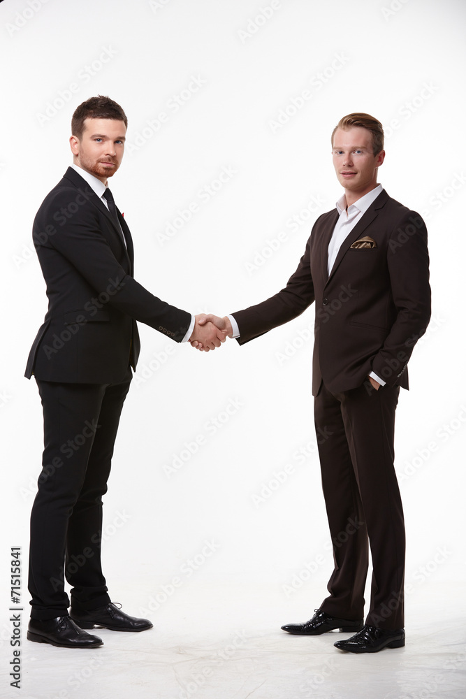 handshake of two businessmen handshake of two businessmen