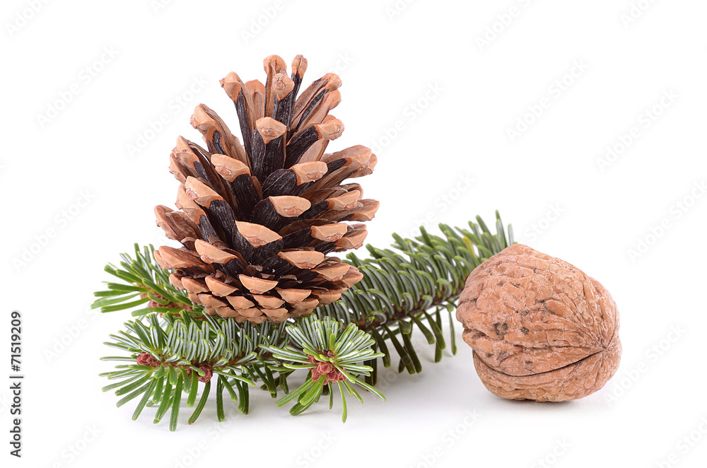 Fototapeta premium Christmas concept on white background