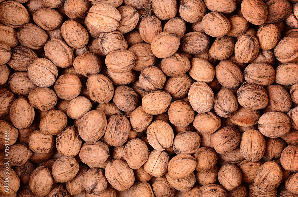 Walnut texture for background Walnut texture for background