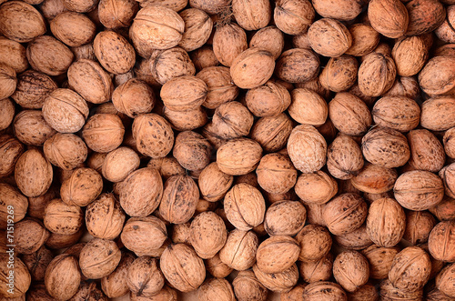 Walnut texture for background