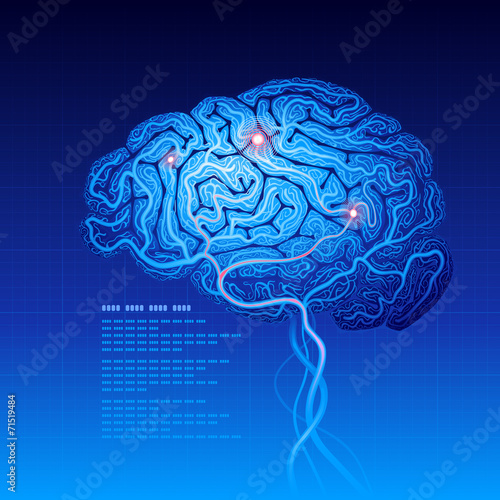 Brain