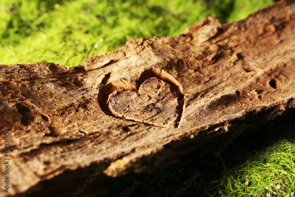 Fototapeta premium Heart carved in tree bark