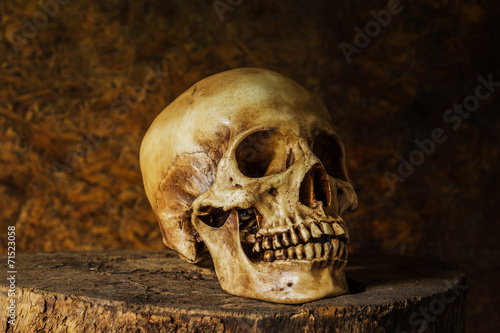 Still Life with a Skull.