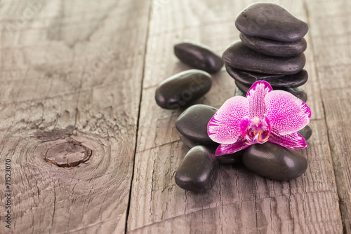 Fuchsia Moth Orchid and black stones on weathered deck