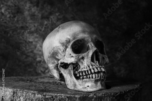 Still Life with a Skull.