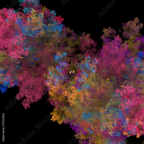 Symmetrical growth of bacteria