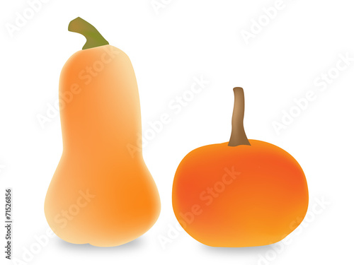 kürbis