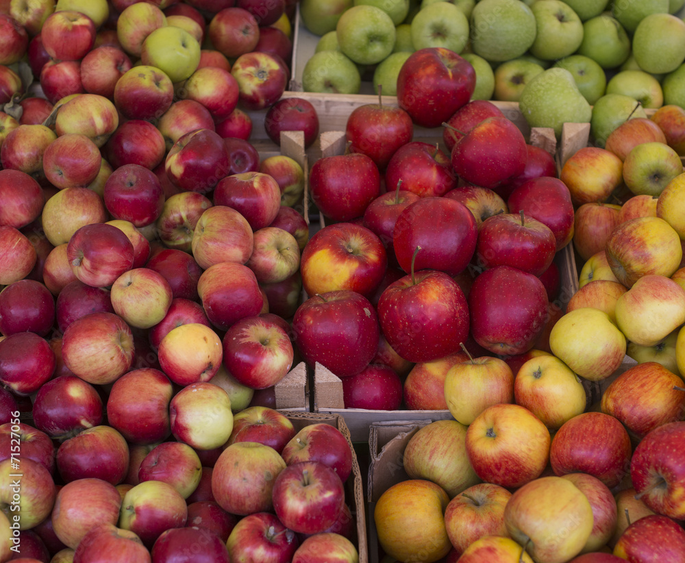 Diferent kinds of apples Diferent kinds of apples