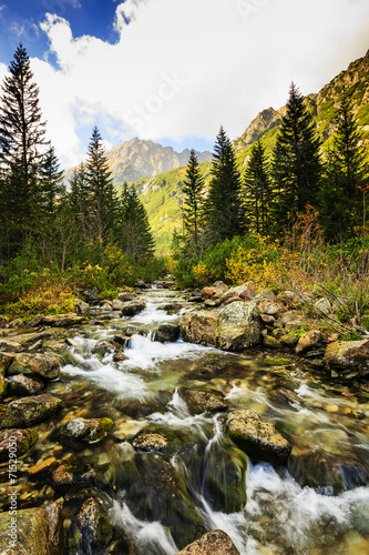 Fototapeta Naklejka Na Ścianę i Meble -  Roztoka Valley, Tatra Mountain, Poland