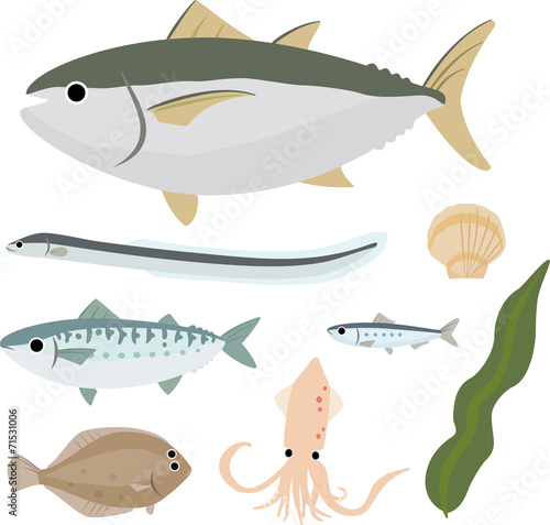 身近な魚介類