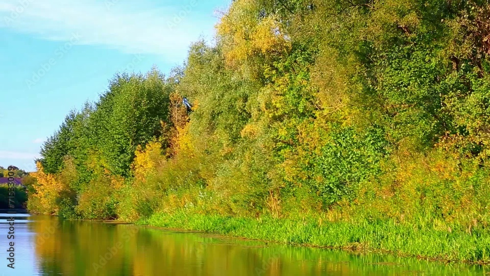 trees are reflected in water