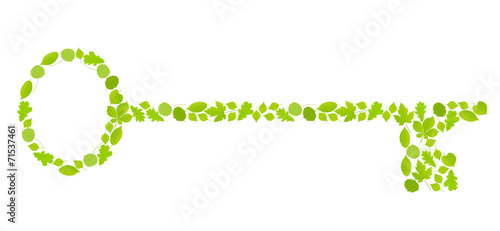 Key made with leaves vector background ecology concept