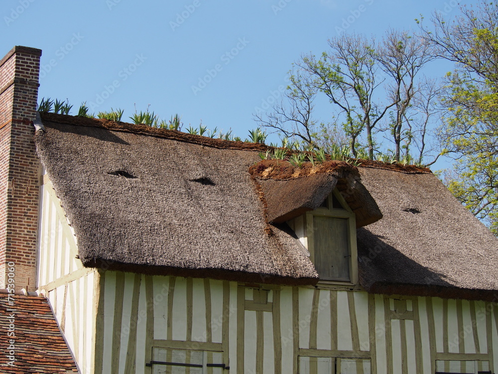 Toit de chaume - Le Hameau de Chantilly Toit de chaume - Le Hameau de Chantilly