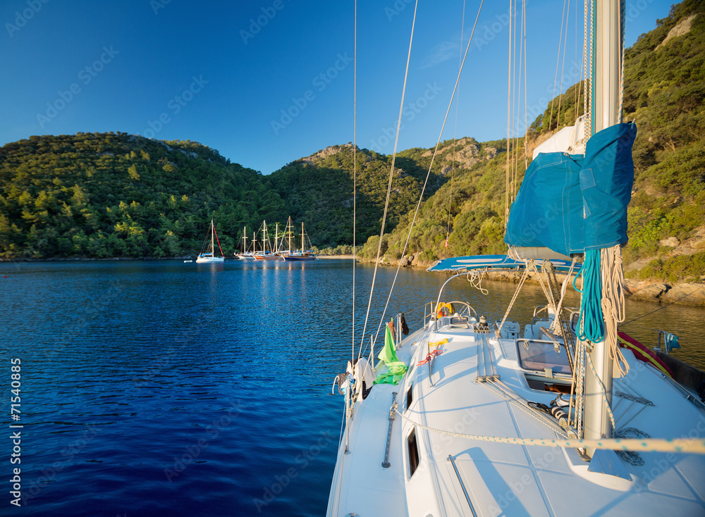 Obraz premium Turkey