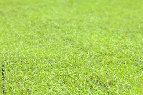 Wallpaper Mural Artificial Grass (Select focus) Torontodigital.ca