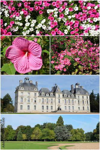 Chateau de Cheverny photo