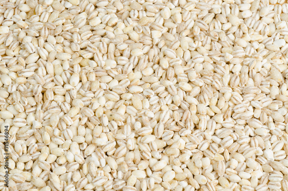 barley closeup, background barley closeup, background