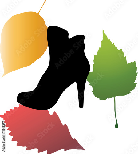 Autumn shoes and leaves