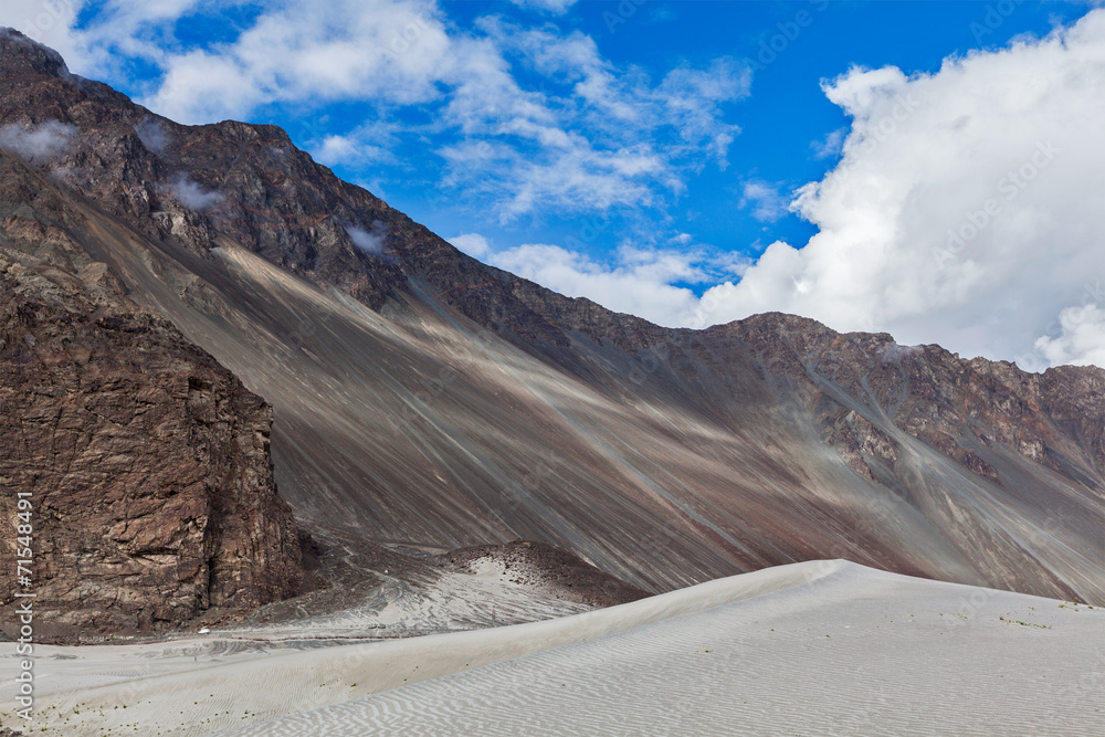 Fototapeta premium Sand dunes. Nubra valley, Ladakh, India
