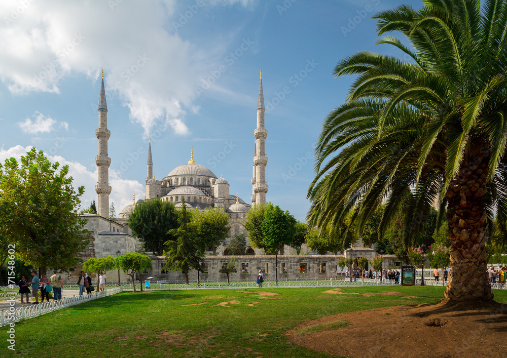 Obraz premium Mosque