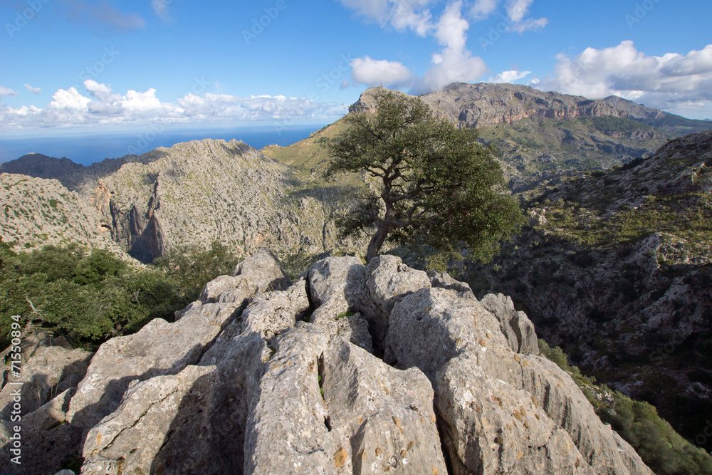 Berge in Mallorca