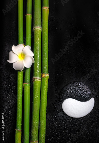beautiful spa still life of symbol Yin Yang  frangipani flower a