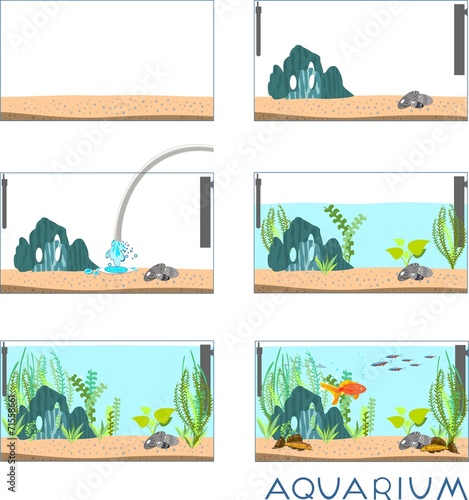 Stages of creating an aquarium