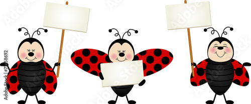 Three ladybirds with signboards