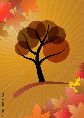 autumn tree