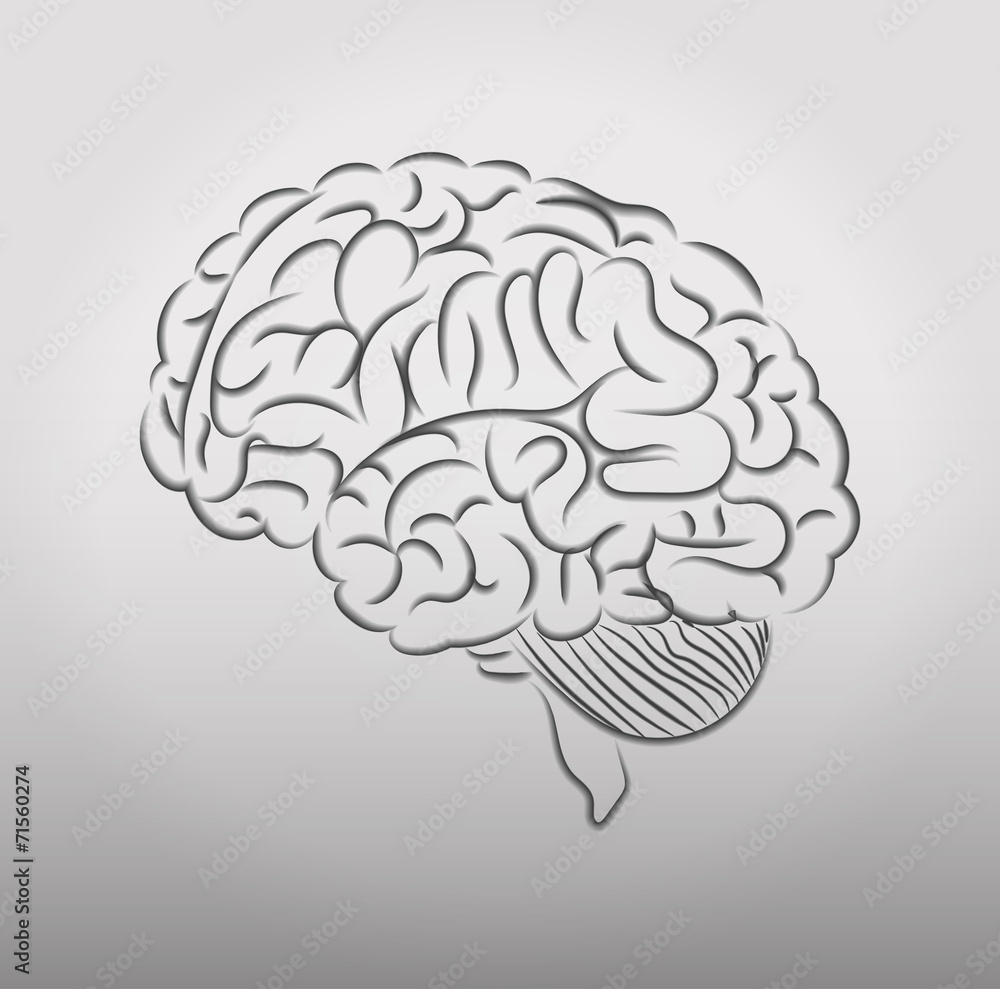 Human brain Human brain