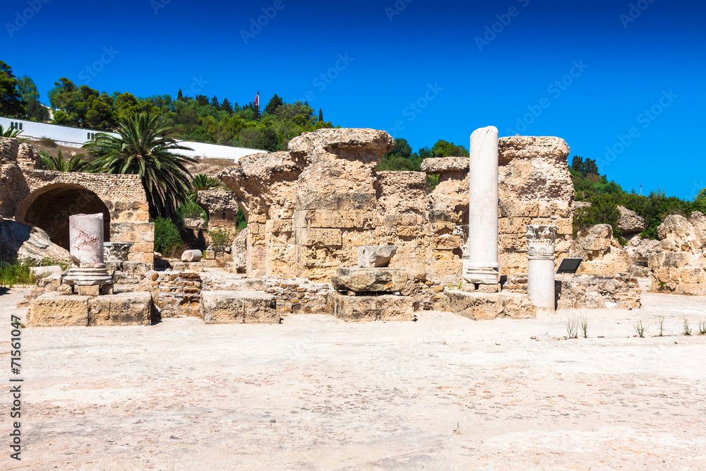 ruins of Antonine Baths at Carthage, Tunisia