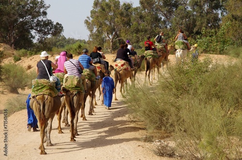 Balade en dromadaire (Maroc)