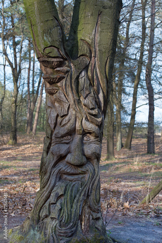 Face in tree