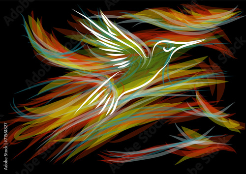 hummingbirds