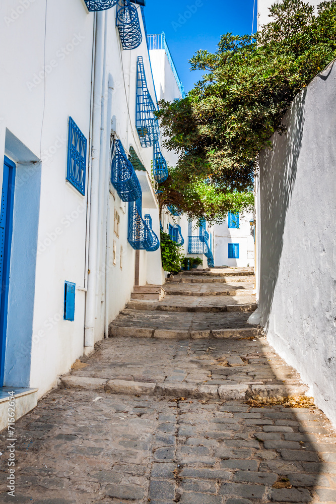 Sidi Bou Said - typical building with white walls, blue doors an