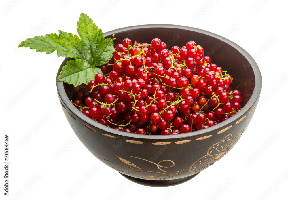 Red currant Red currant