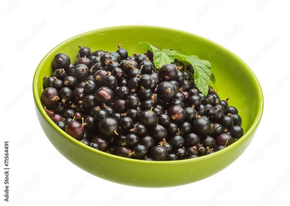 Black currant Black currant