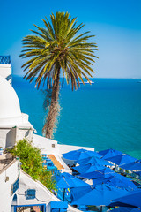 Fotobehang Tunesië Café met havenzicht Sidi Bou Said  © Lukasz Janyst