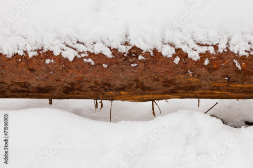 Wallpaper Mural Closeup wooden wood log covered with snow on winter Torontodigital.ca